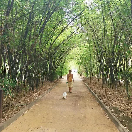 Charming & Modern Adriana Apartment *