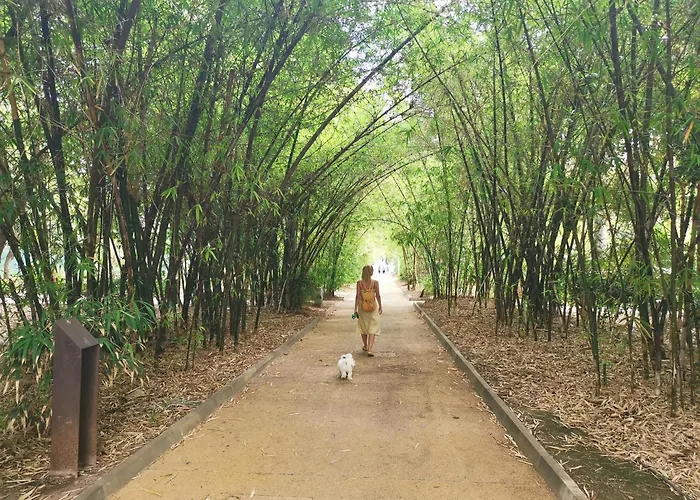 Charming & Modern Adriana Apartment *